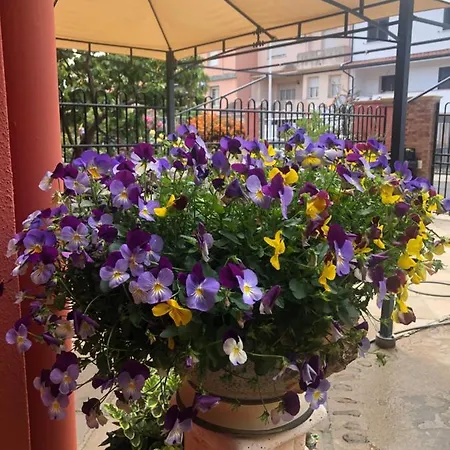 Paese Museo شقة San Sperate