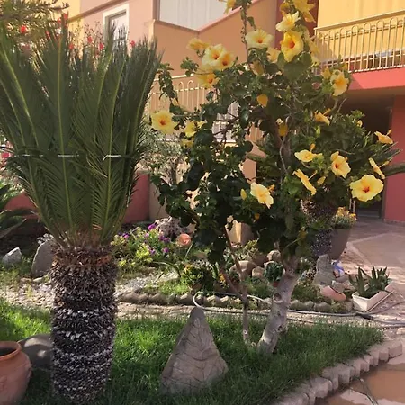 Paese Museo * San Sperate