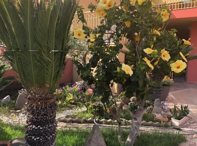 Paese Museo * San Sperate